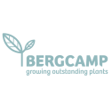 Bergkamp plants logo